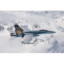 Italeri F/A-18 Hornet Tiger Meet 2016 1394