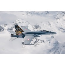 Italeri F/A-18 Hornet Tiger Meet 2016 1394