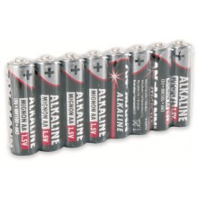 Alkaline AA Batteries (8pcs)