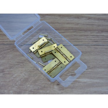 Expo 4x25mm Brass Plated Hinges with Pins A30043