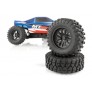 TEAM ASSOCIATED AE QUALIFIER SERIES MT28 1:28 MONSTER TRUCK AS20155