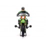LOSI 1/4 PROMOTO-MX MOTORCYCLE RTR W/BATTERY & CHARGER, PRO C-LOS06002