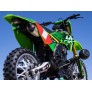 LOSI 1/4 PROMOTO-MX MOTORCYCLE RTR W/BATTERY & CHARGER, PRO C-LOS06002
