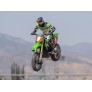 LOSI 1/4 PROMOTO-MX MOTORCYCLE RTR W/BATTERY & CHARGER, PRO C-LOS06002