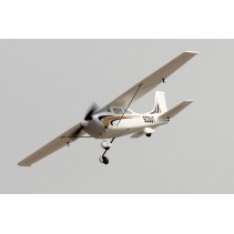 Dynam Scout Trainer 980mm w/oTx/Rx/Battery ARTF DYN8924V2