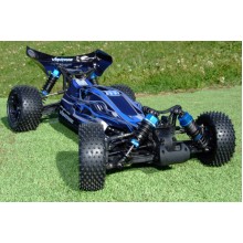 FTX VANTAGE 1/10 BRUSHLESS BUGGY 4WD RTR W/LIPO & CHARGER FTX5532