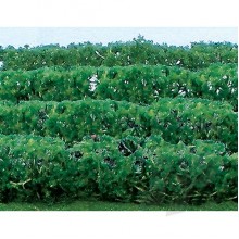 JTT Green Hedges HO Scale JTT95515